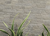 ceramiche-cottopetrus-dolmen