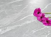 ceramiche-ascale-cardosogray