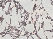 ceramiche-pamesa-luxviola