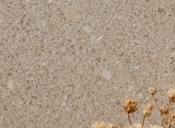 ceramiche-Argenta-Santelmo