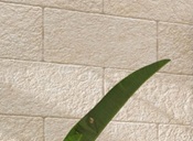 ceramiche-Mijares-Fortaleza
